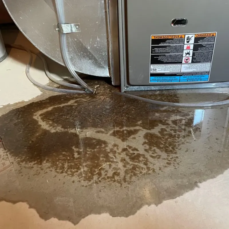 Pipe Burst and Leak Restoration in Shelby County, IN