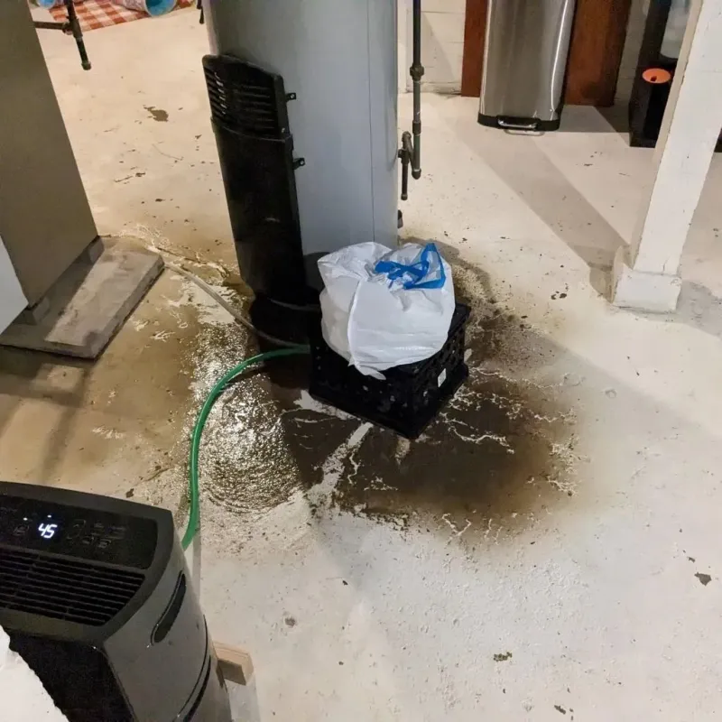Sewage Backup Cleanup Service in Shelby County, IN